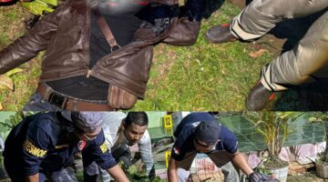 Gara-gara Persoalan Angsuran, Pria di Way Tenong Lampung Barat Diduga Bacok Warga hingga Tewas