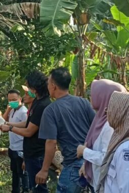 Pria 34 Tahun Ditemukan Tewas Tergantung di Pohon Alpukat di Tanggamus, Polisi Dalami Latar Belakangnya