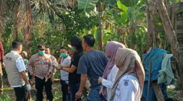 Pria 34 Tahun Ditemukan Tewas Tergantung di Pohon Alpukat di Tanggamus, Polisi Dalami Latar Belakangnya